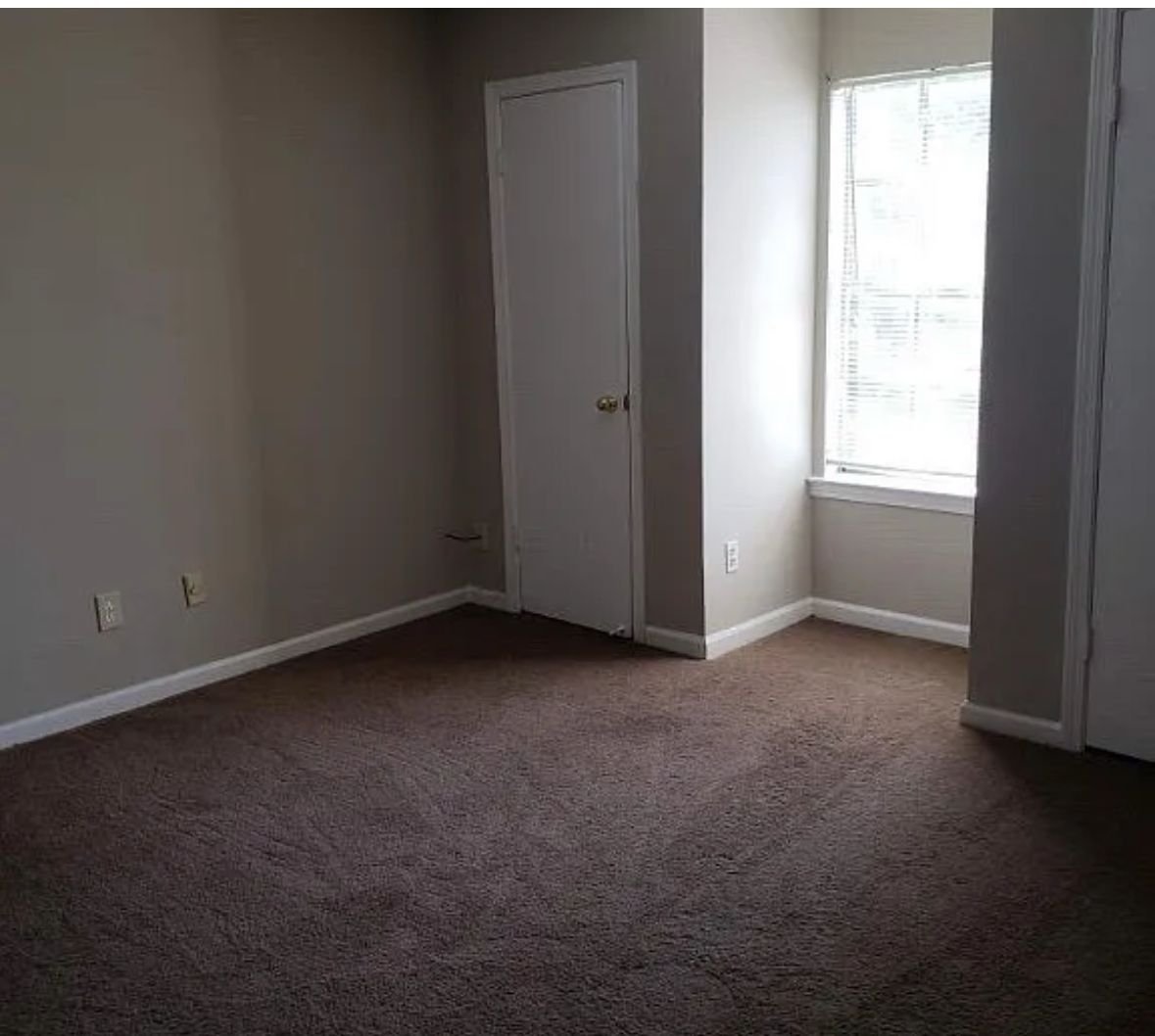 WhatsApp Image 2026-01-25 at 22.40.33